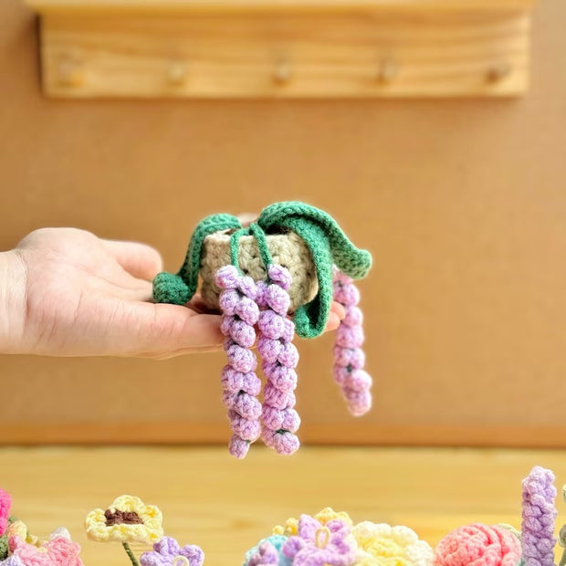 Crochet Plant Hanging