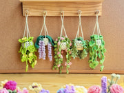 Crochet Plant Hanging