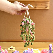 Crochet Plant Hanging