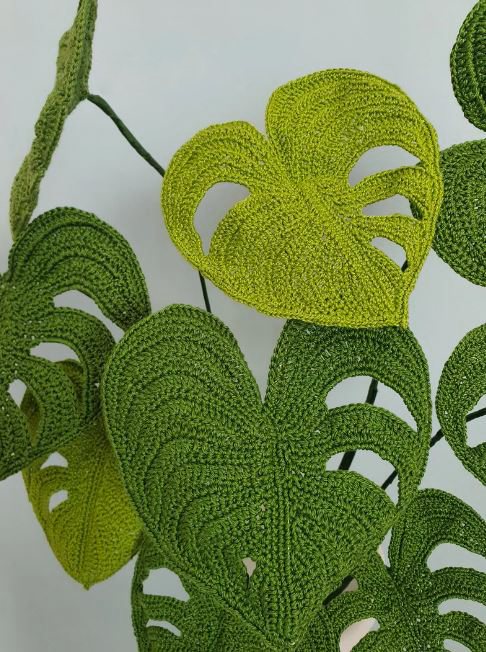 Crochet Plant Pattern Monstera