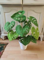 Crochet Plant Pattern Monstera