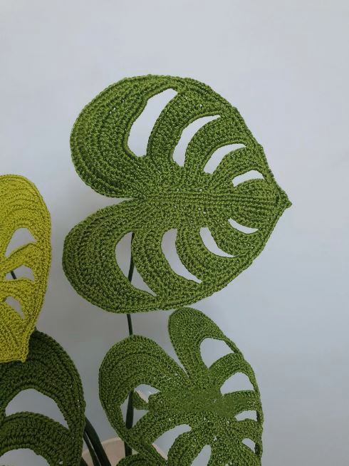 Crochet Plant Pattern Monstera