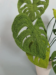 Crochet Plant Pattern Monstera